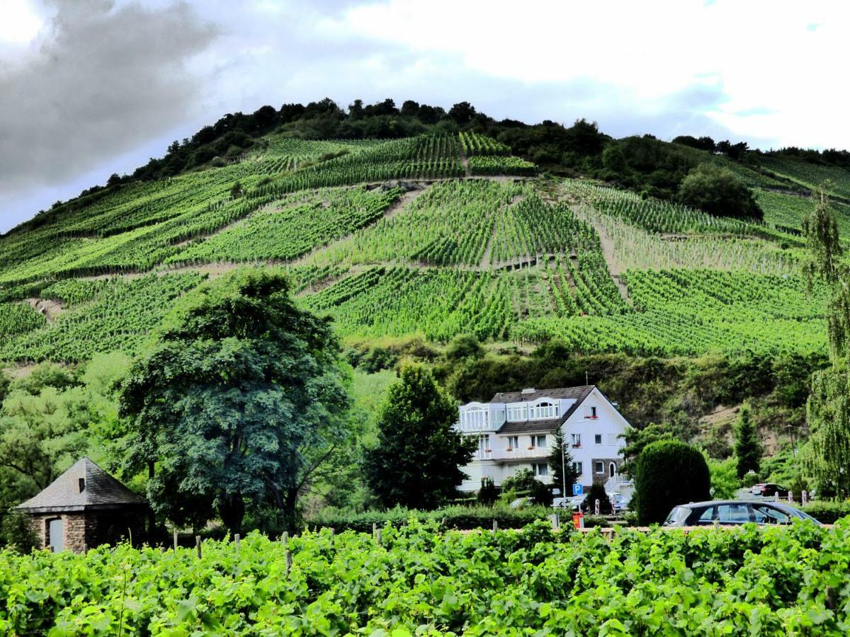 Relaxen im alten Winzerhaus Fewo EG Rech Exterior foto
